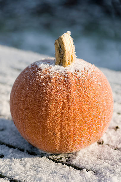 Fondant parfumé Citrouille givrée